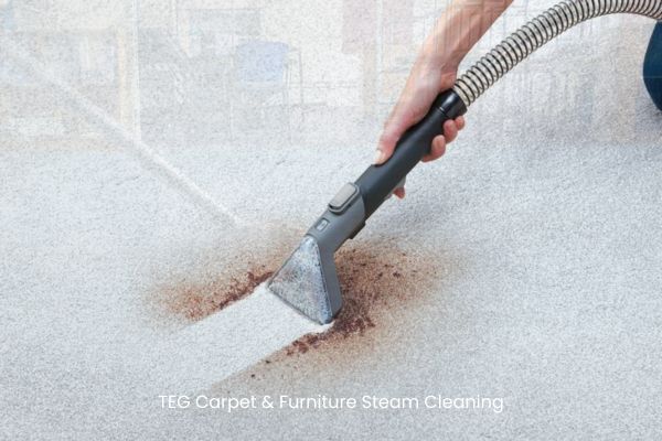 Carpet Stain Removal​ services