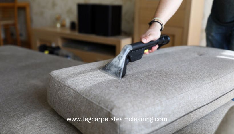 Couch Cleaning​ services