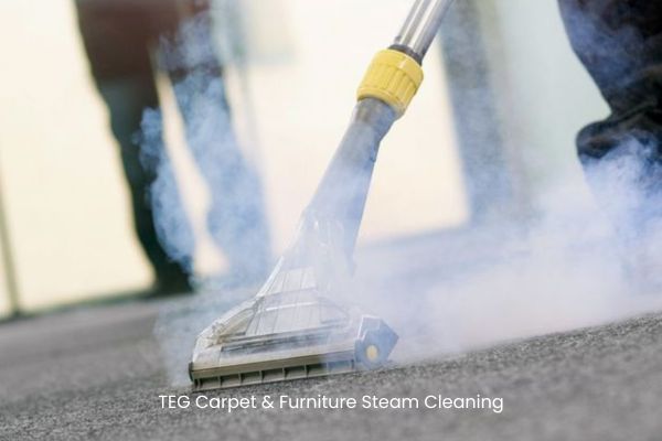 Steam Cleaning​ services